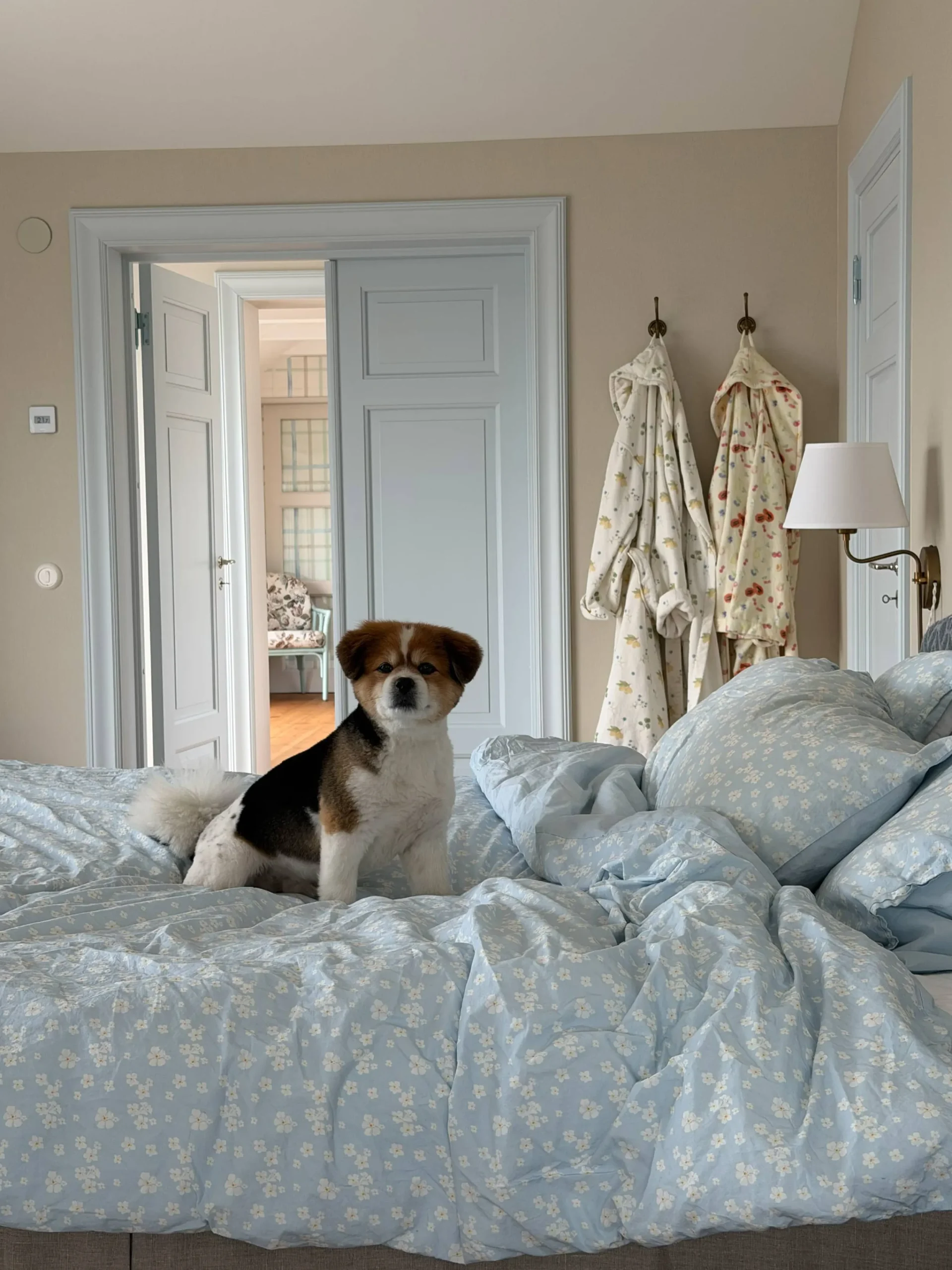 Djerf Avenue Duvet Cover Dream Cake Online